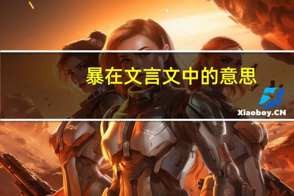 暴在文言文中的意思