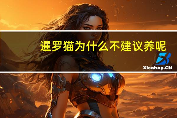 暹罗猫为什么不建议养呢