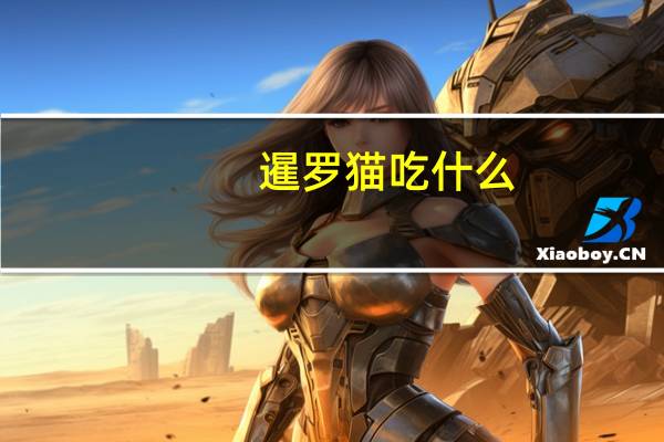 暹罗猫吃什么