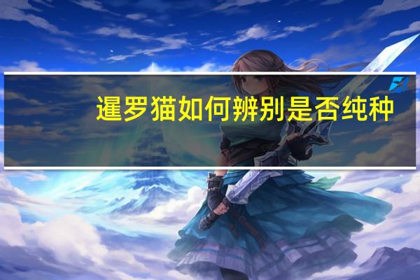 暹罗猫如何辨别是否纯种