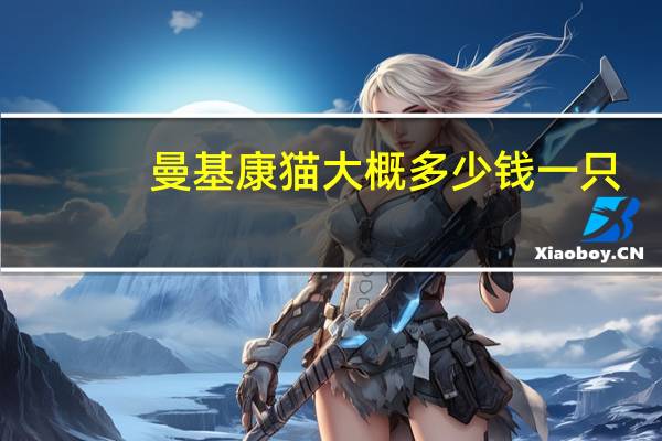 曼基康猫大概多少钱一只