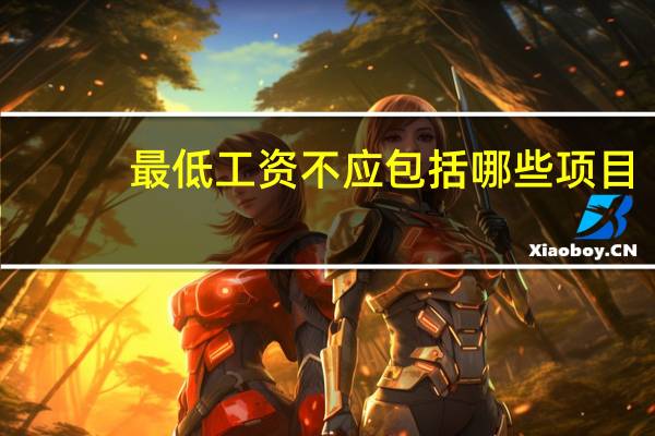 最低工资不应包括哪些项目