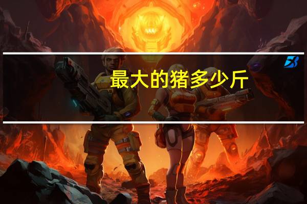 最大的猪多少斤