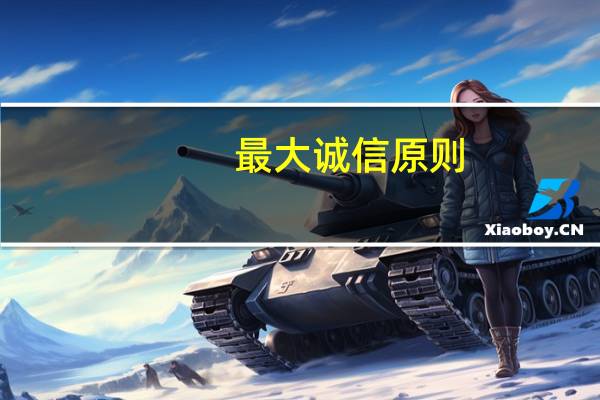 最大诚信原则