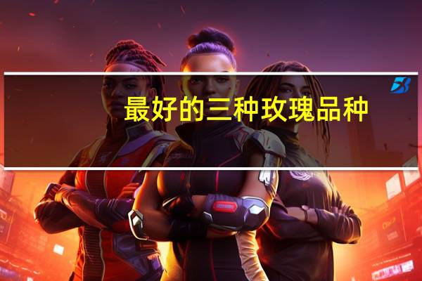 最好的三种玫瑰品种