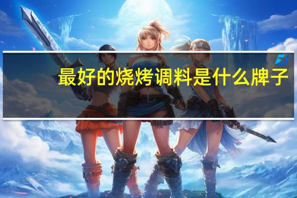 最好的烧烤调料是什么牌子