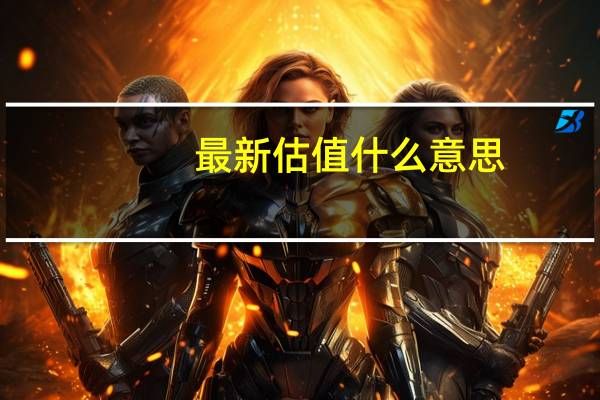 最新估值什么意思