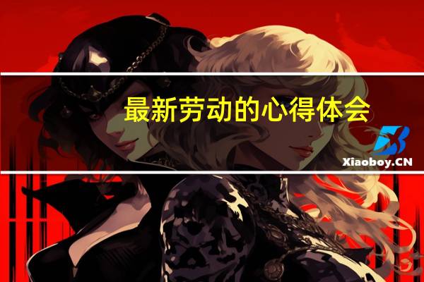最新劳动的心得体会