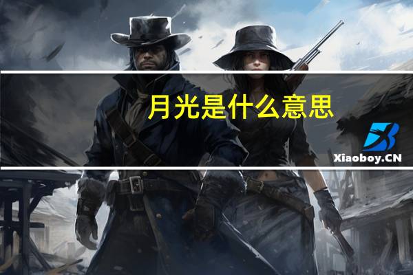 月光是什么意思