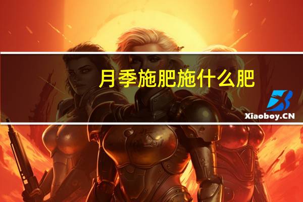 月季施肥施什么肥