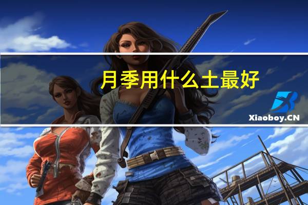 月季用什么土最好