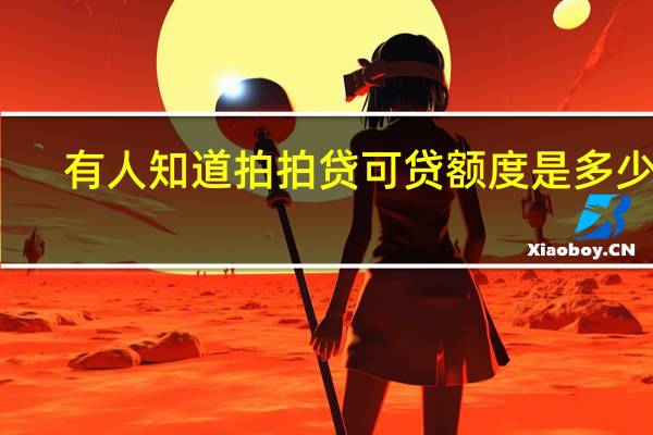 有人知道拍拍贷可贷额度是多少吗