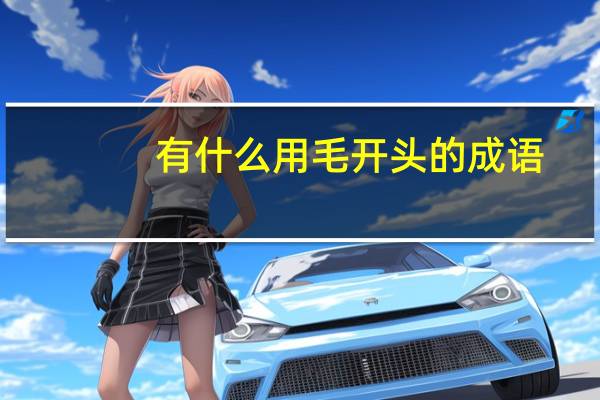 有什么用毛开头的成语