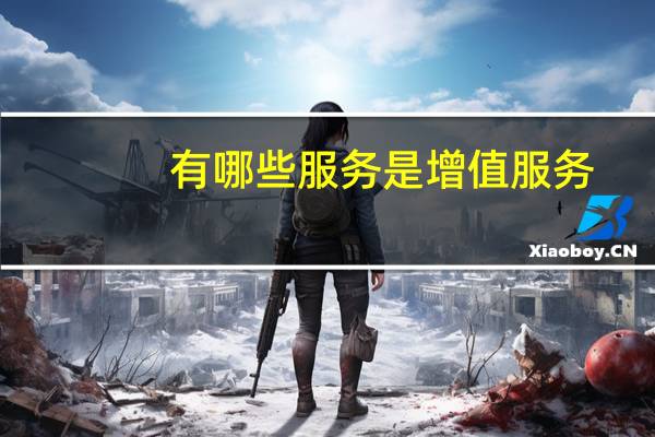 有哪些服务是增值服务