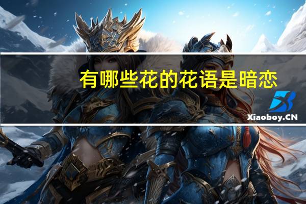有哪些花的花语是暗恋