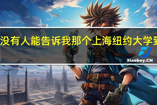 有没有人能告诉我那个上海纽约大学到底靠谱
