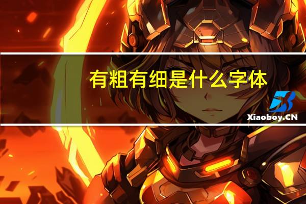有粗有细是什么字体