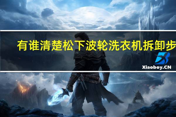 有谁清楚松下波轮洗衣机拆卸步骤