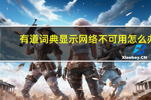 有道词典显示网络不可用怎么办