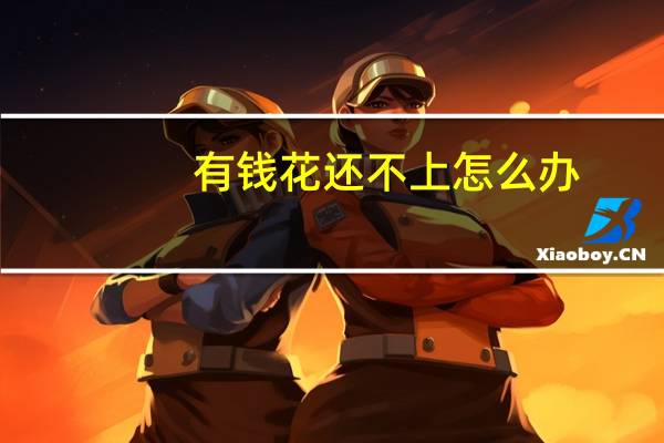 有钱花还不上怎么办