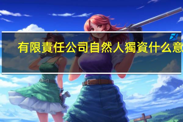 有限責任公司自然人獨資什么意思