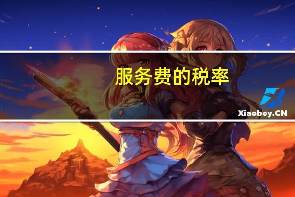 服务费的税率