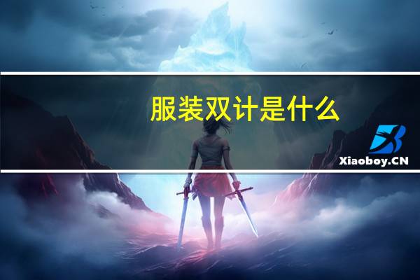服装双计是什么
