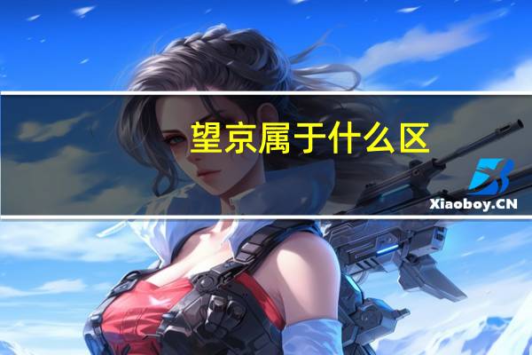 望京属于什么区
