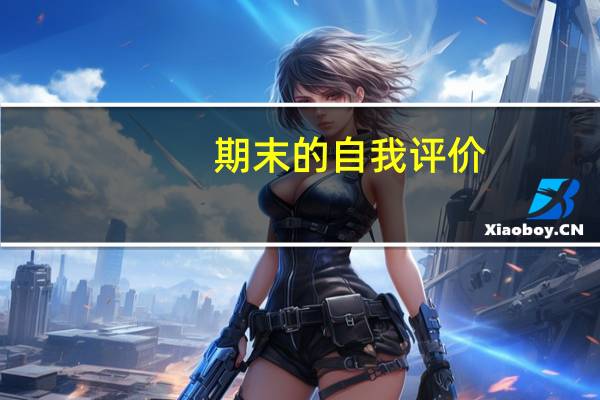 期末的自我评价