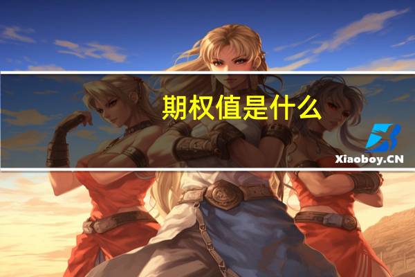 期权值是什么