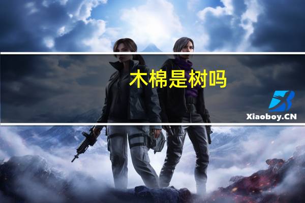 木棉是树吗