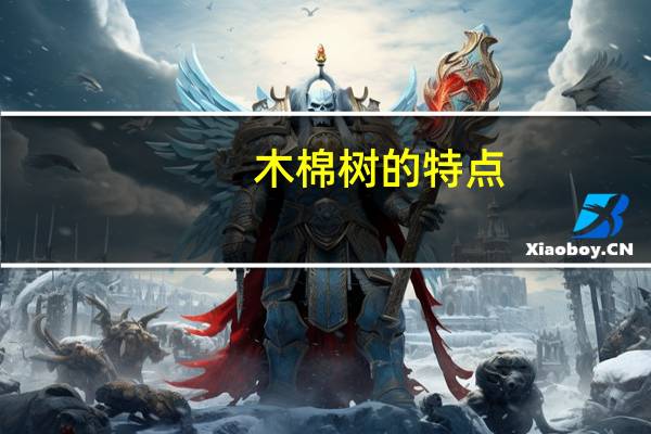 木棉树的特点