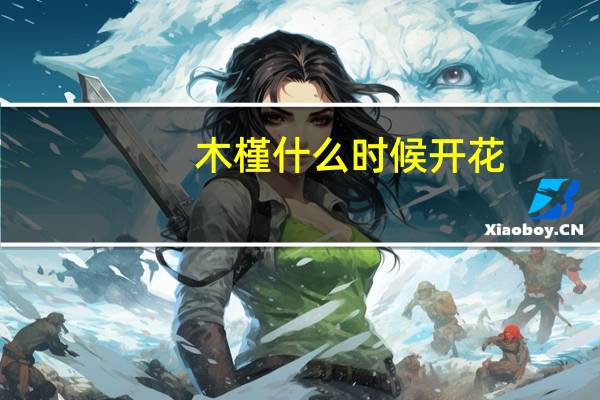 木槿什么时候开花
