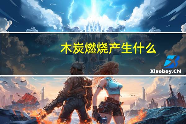 木炭燃烧产生什么