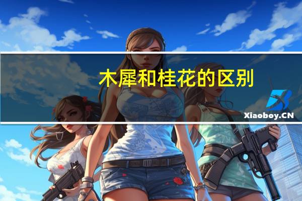 木犀和桂花的区别