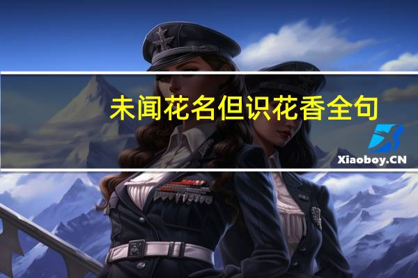 未闻花名但识花香全句
