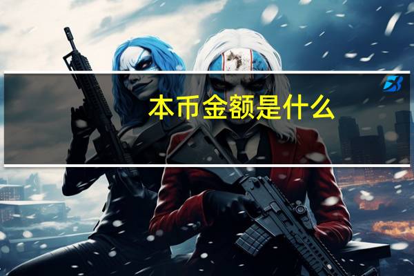 本币金额是什么