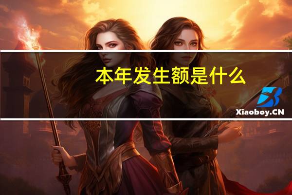 本年发生额是什么
