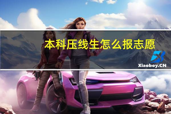 本科压线生怎么报志愿