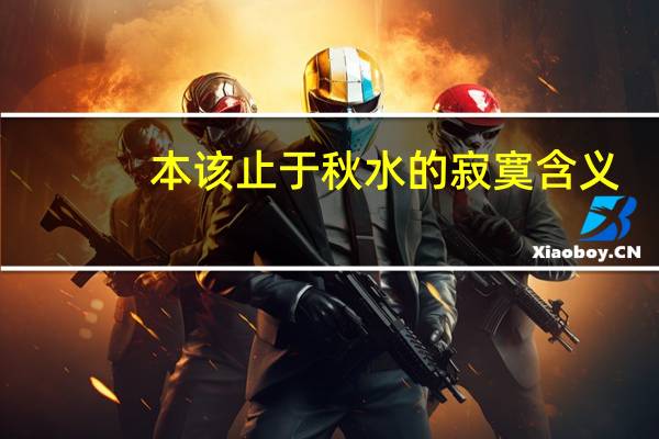 本该止于秋水的寂寞含义