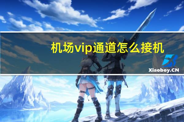 机场vip通道怎么接机