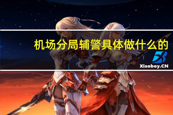 机场分局辅警具体做什么的