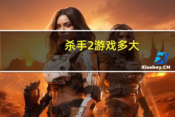 杀手2游戏多大