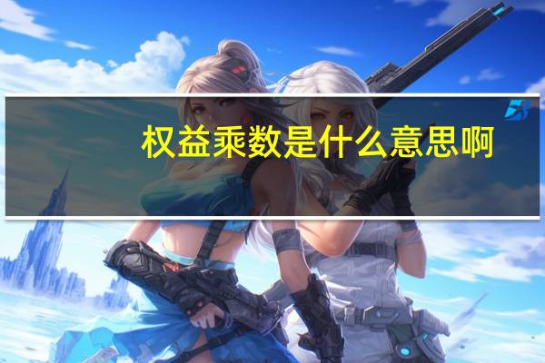 权益乘数是什么意思啊