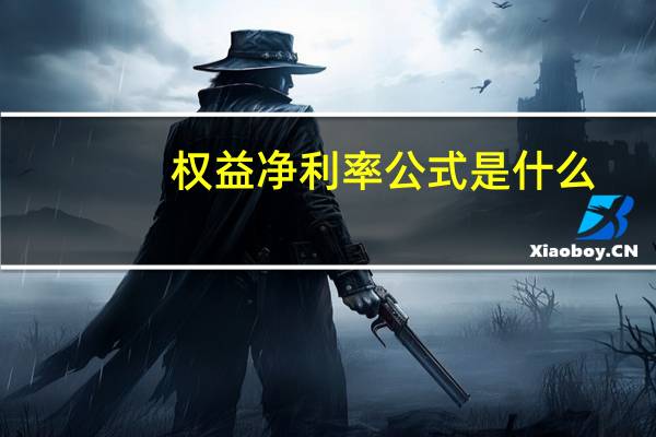 权益净利率公式是什么