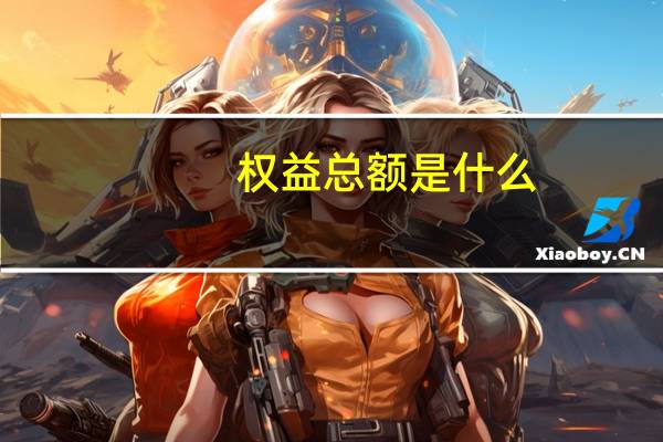 权益总额是什么