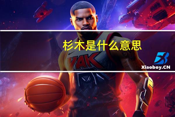 杉木是什么意思