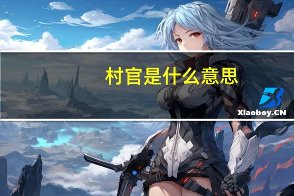 村官是什么意思