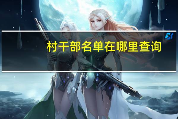 村干部名单在哪里查询