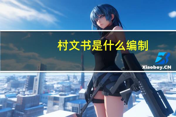 村文书是什么编制